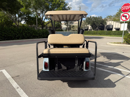 2020 EZGO RXV ELITE LITHIUM 4-PASSENGER GOLF CART - GLACIER FREEZE