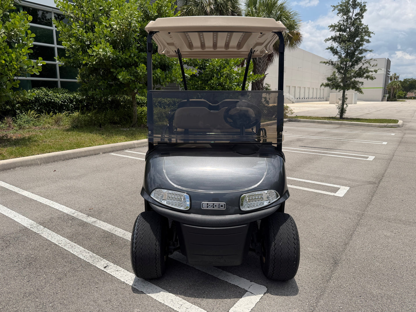 2020 EZGO RXV ELITE LITHIUM 4-PASSENGER GOLF CART - METALLIC CHARCOAL